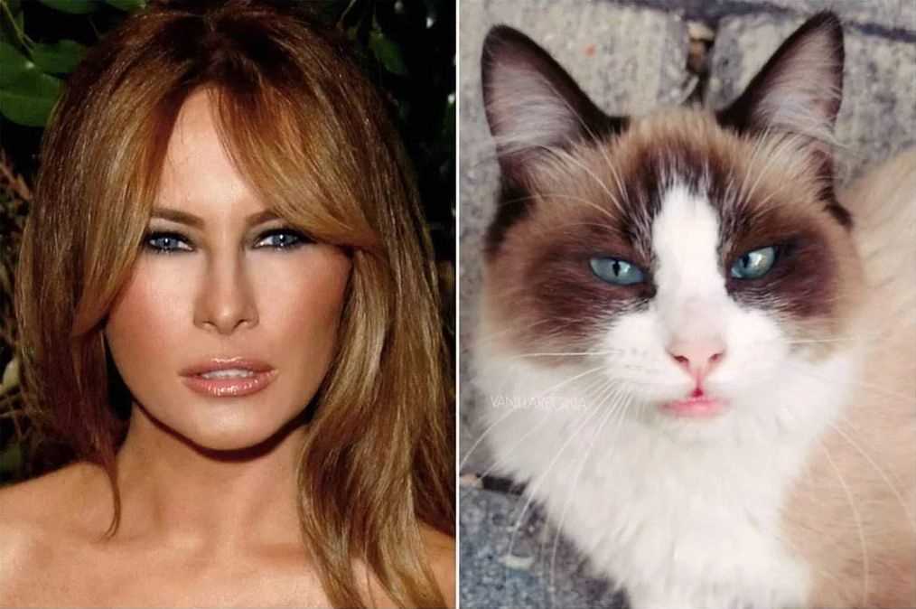 Прикольные картинки