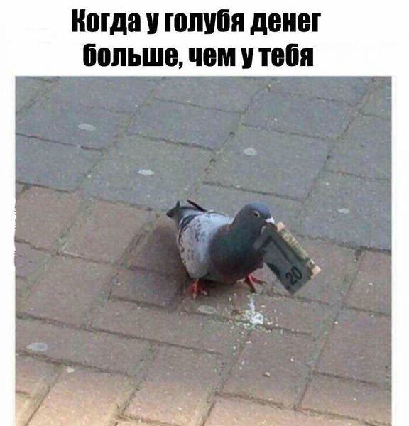 Прикольные картинки